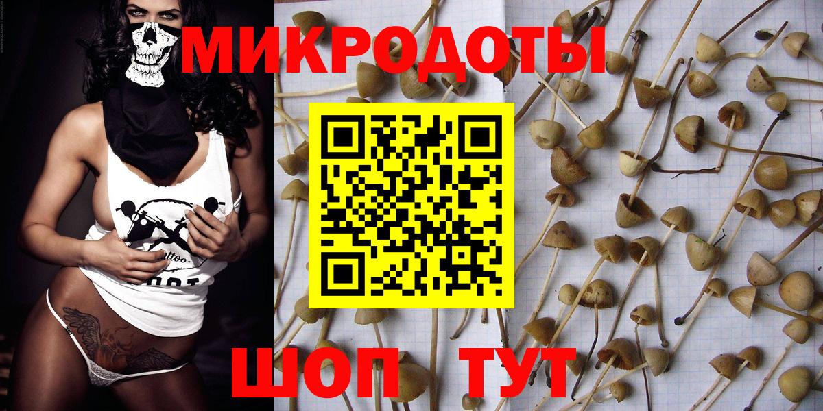 Псилоцибиновые грибы MAGIC MUSHROOMS Новоалтайск