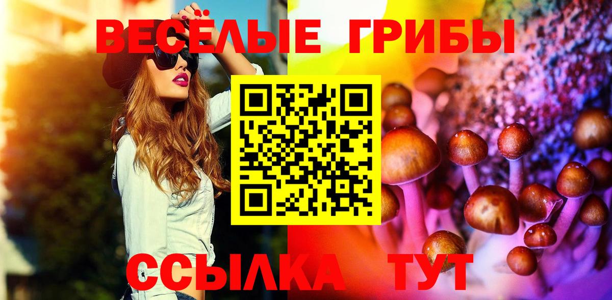 Псилоцибиновые грибы Psilocybe  Вход с VPN  Новоалтайск  Галлюциногенные грибы прущие грибы 